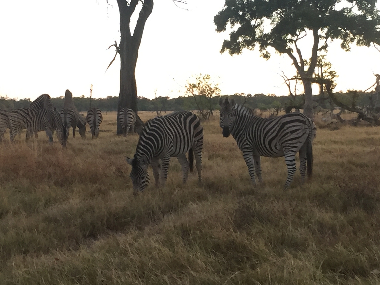 [21285] 2016_06_29_06_50_34_Africa_iPhone_6_IMG_8551_00500.jpg