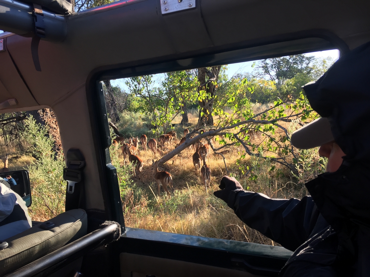 [21376] 2016_06_29_07_59_58_Africa_iPhone_6_IMG_8554_03426.jpg