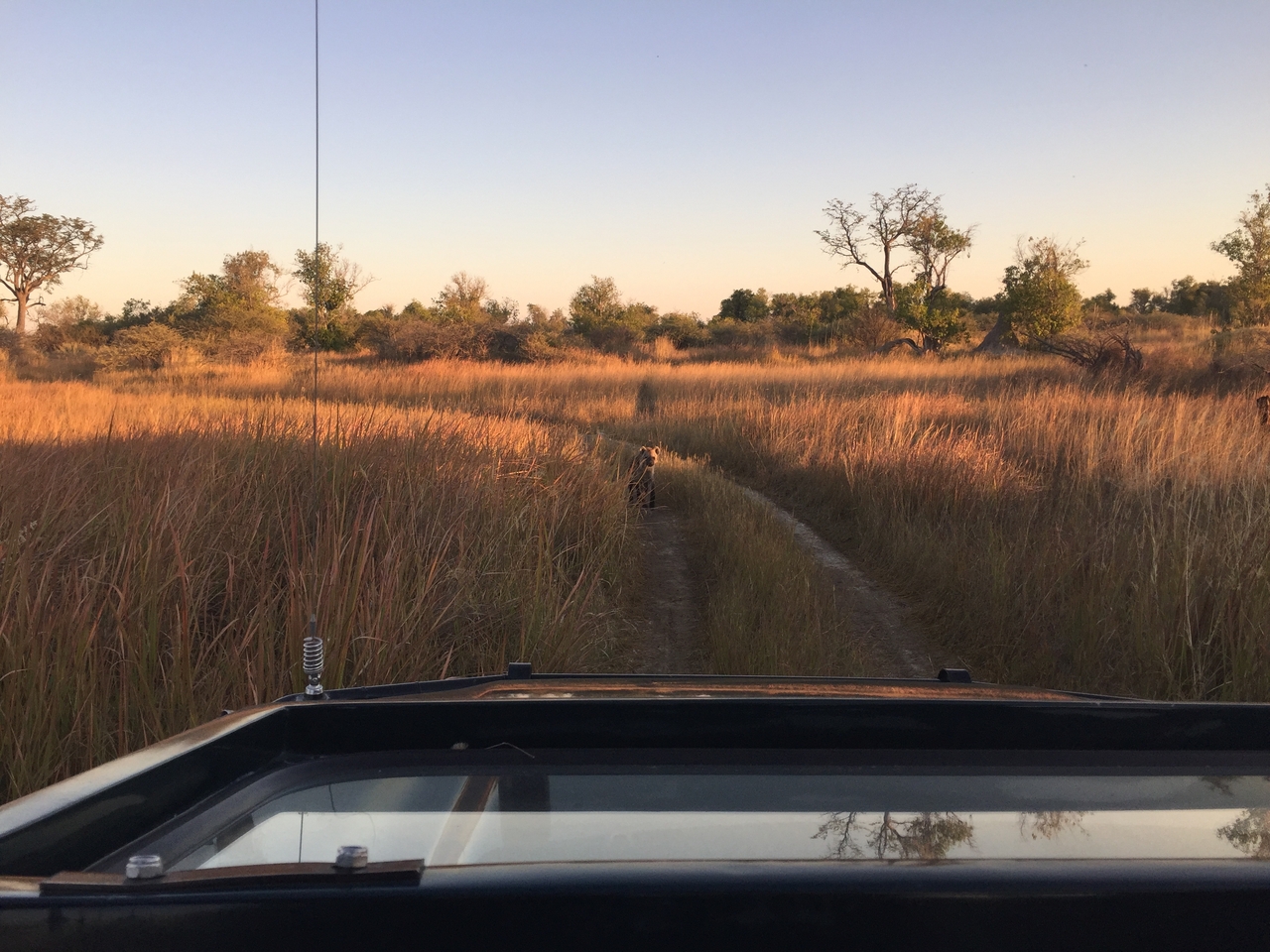 [22212] 2016_06_29_17_41_05_Africa_iPhone_6_IMG_8560_00506.jpg