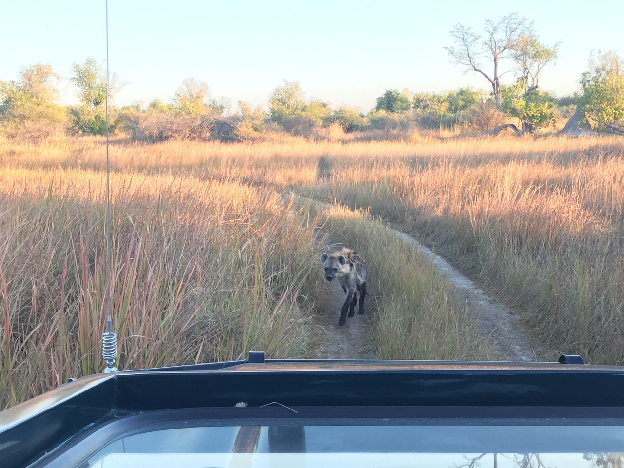 [22216] 2016_06_29_17_41_08_Africa_iPhone_6_IMG_8561_01089.jpg