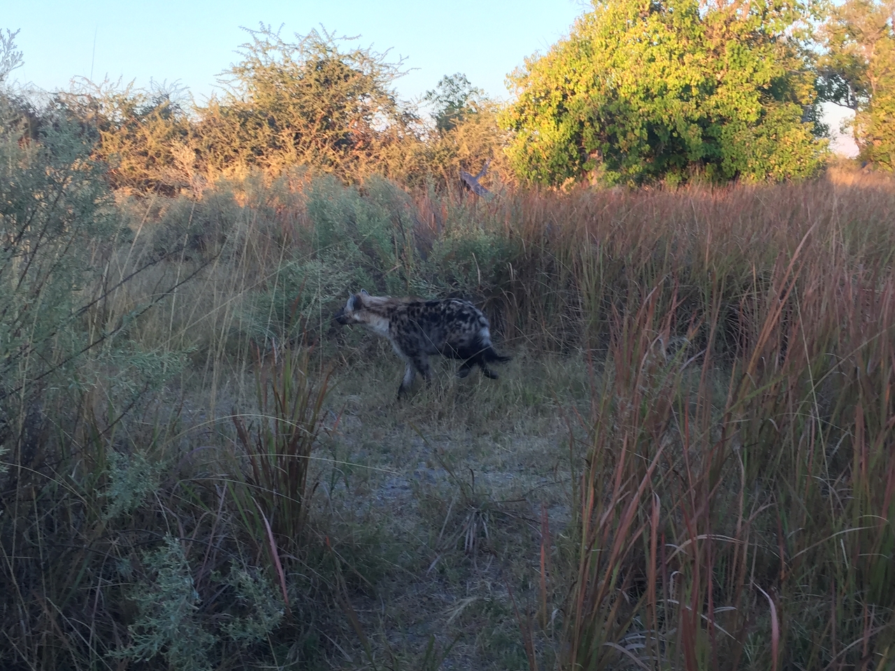 [22218] 2016_06_29_17_41_14_Africa_iPhone_6_IMG_8562_00508.jpg