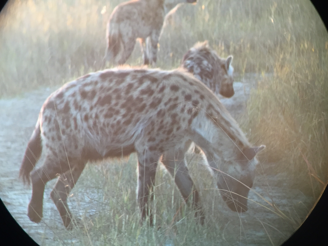 [22228] 2016_06_29_17_48_18_Africa_iPhone_6_IMG_8565_01093.jpg