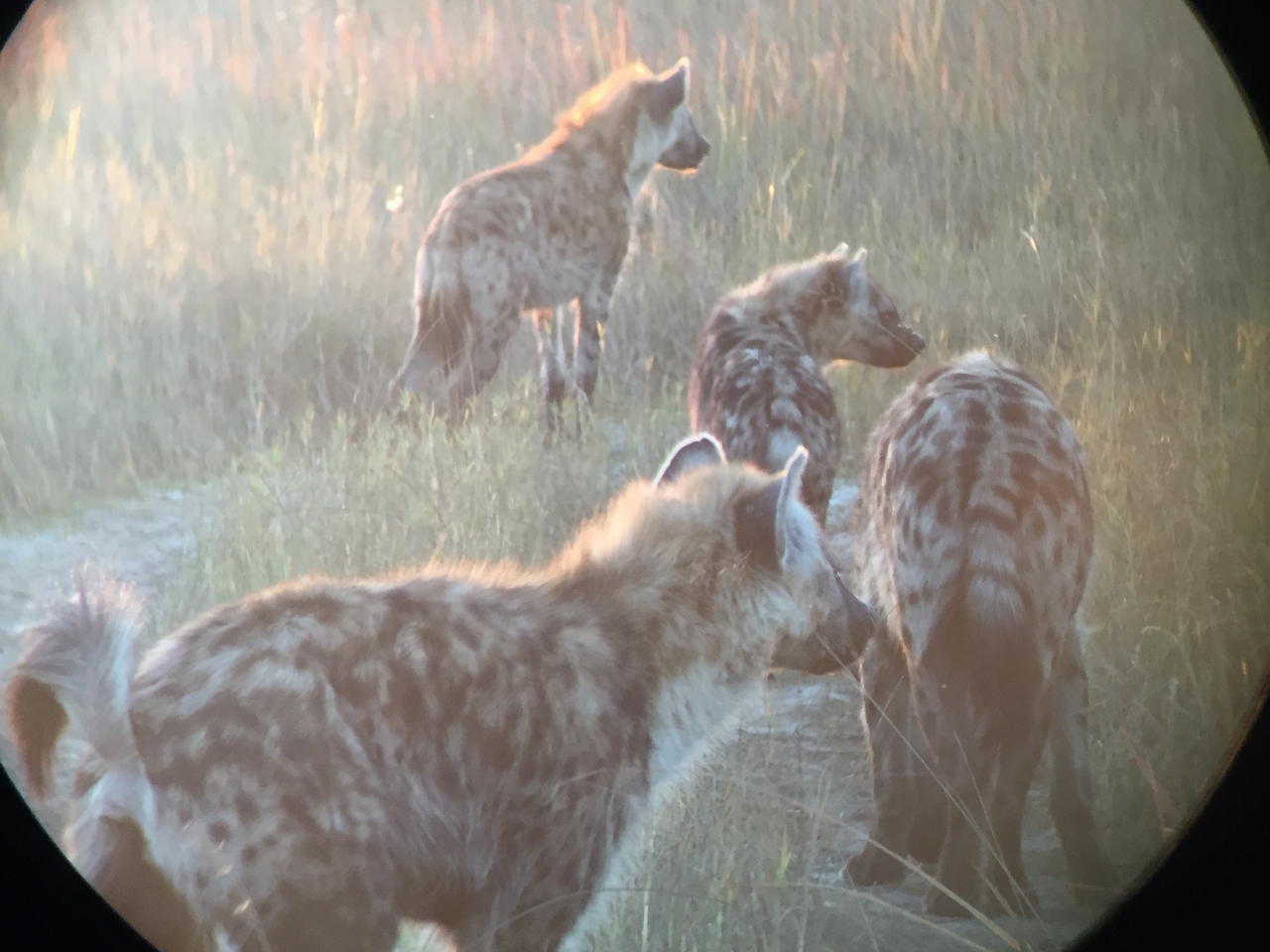 [22230] 2016_06_29_17_48_28_Africa_iPhone_6_IMG_8566_00512.jpg