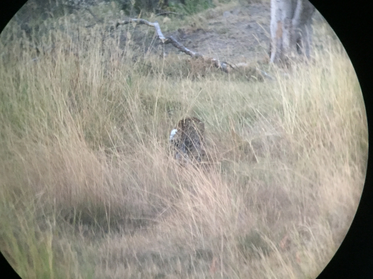 [22244] 2016_06_29_18_09_10_Africa_iPhone_6_IMG_8568_03437.jpg