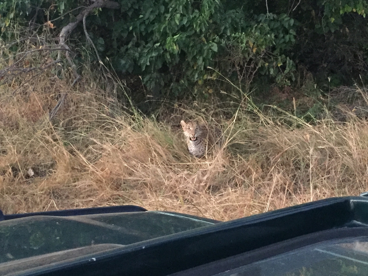 [22246] 2016_06_29_18_12_50_Africa_iPhone_6_IMG_8570_01097.jpg