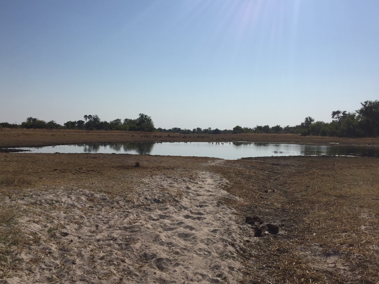 [25310] 2016_06_30_14_55_01_Africa_iPhone_6_IMG_8592_01116.jpg