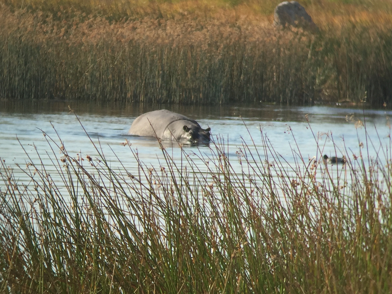 [25793] 2016_06_30_15_18_08_Africa_iPhone_6_IMG_8593_01117.jpg