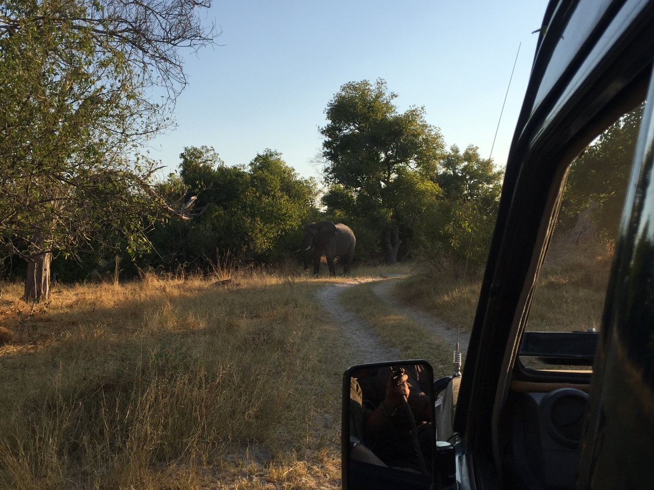 [26627] 2016_06_30_17_00_36_Africa_iPhone_6_IMG_8610_03473.jpg