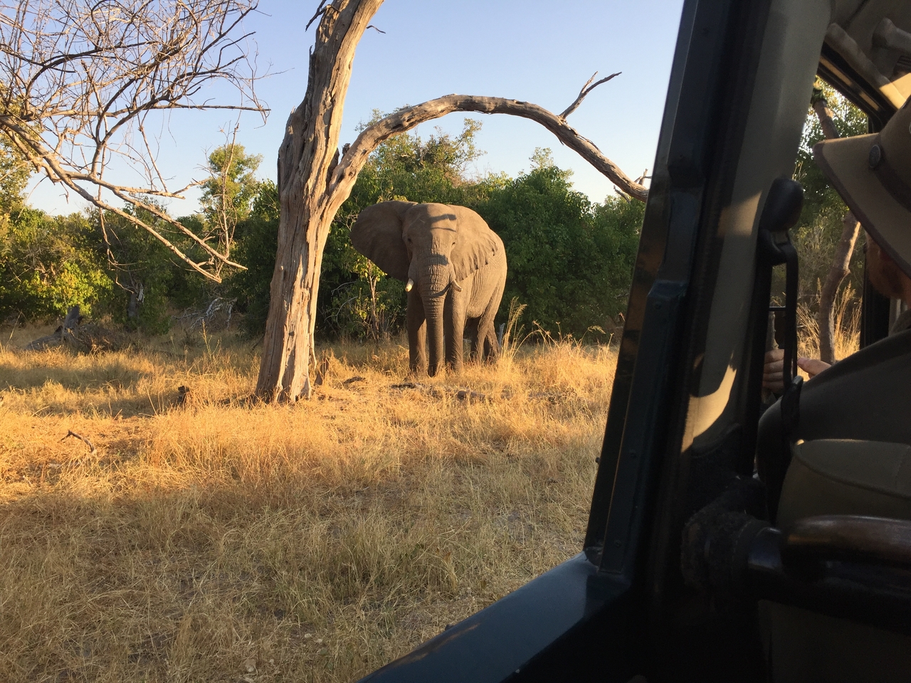 [26630] 2016_06_30_17_01_17_Africa_iPhone_6_IMG_8611_03474.jpg
