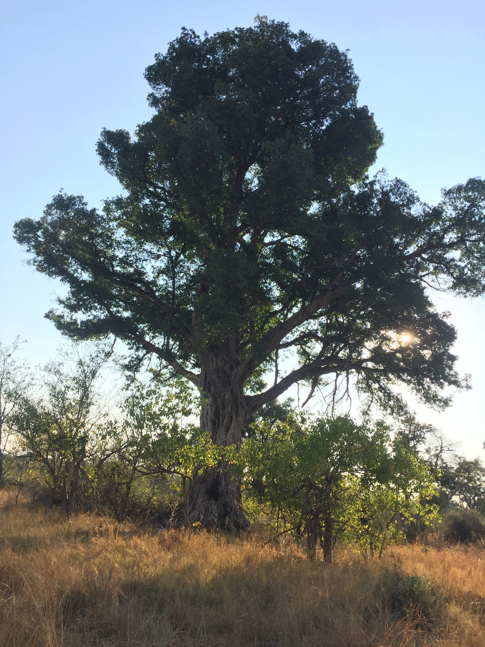 [26910] 2016_07_01_08_25_31_Africa_iPhone_6_IMG_8629_03489.jpg