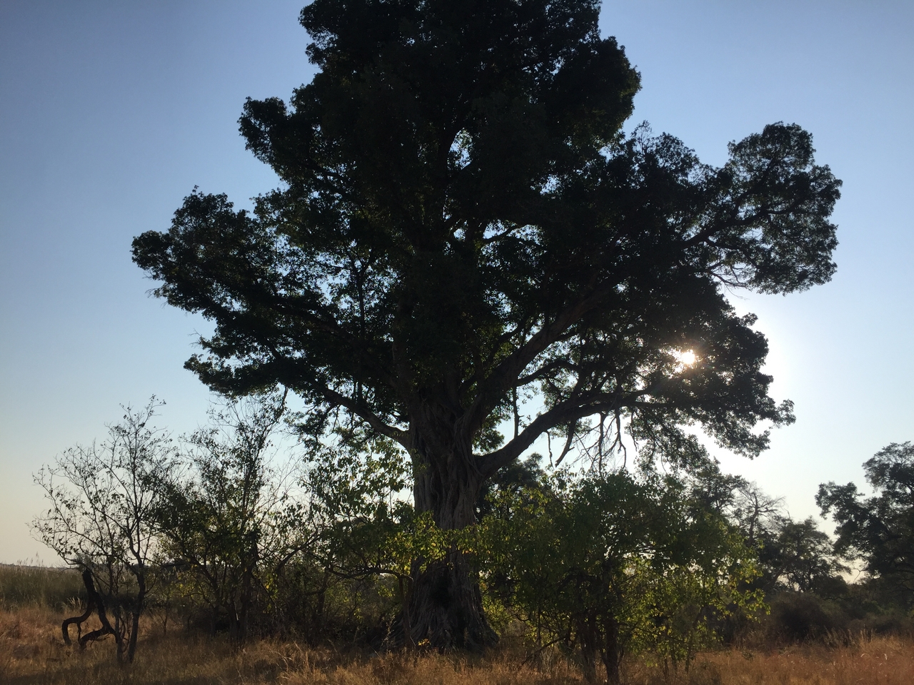 [26913] 2016_07_01_08_25_36_Africa_iPhone_6_IMG_8630_03490.jpg