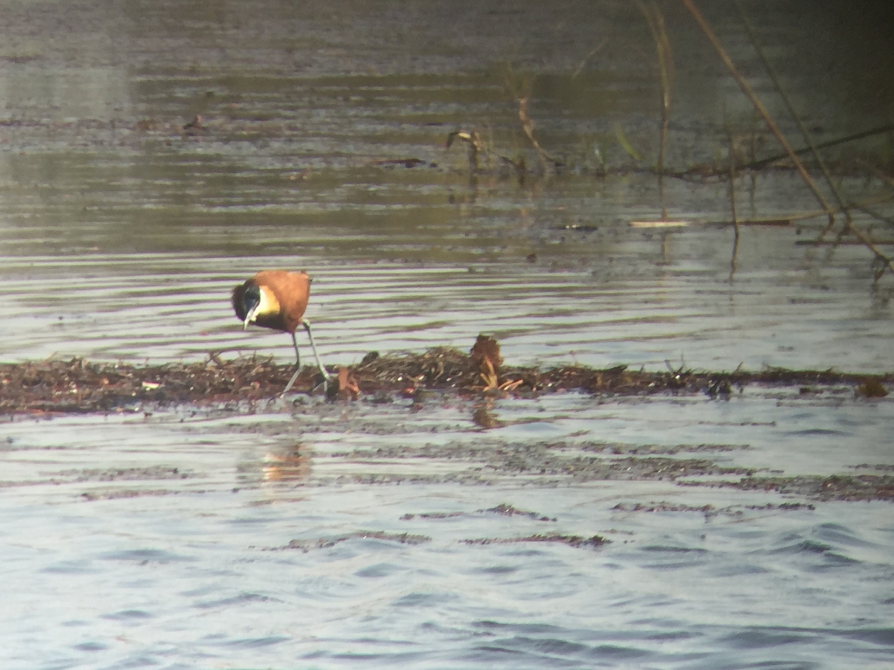 [26942] 2016_07_01_10_12_12_Africa_iPhone_6_IMG_8636_01153.jpg