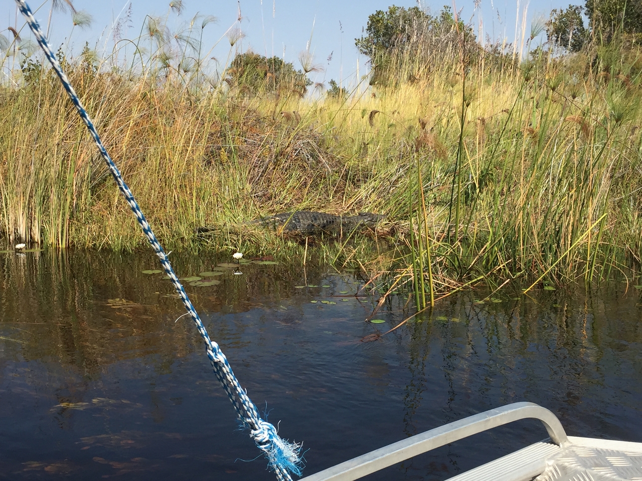 [27008] 2016_07_01_11_55_01_Africa_iPhone_6_IMG_8640_01157.jpg