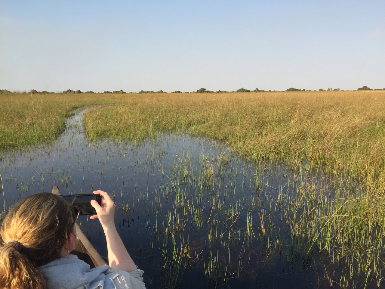 [27233] 2016_07_01_16_08_30_Africa_iPhone_6_IMG_8663_00598.jpg