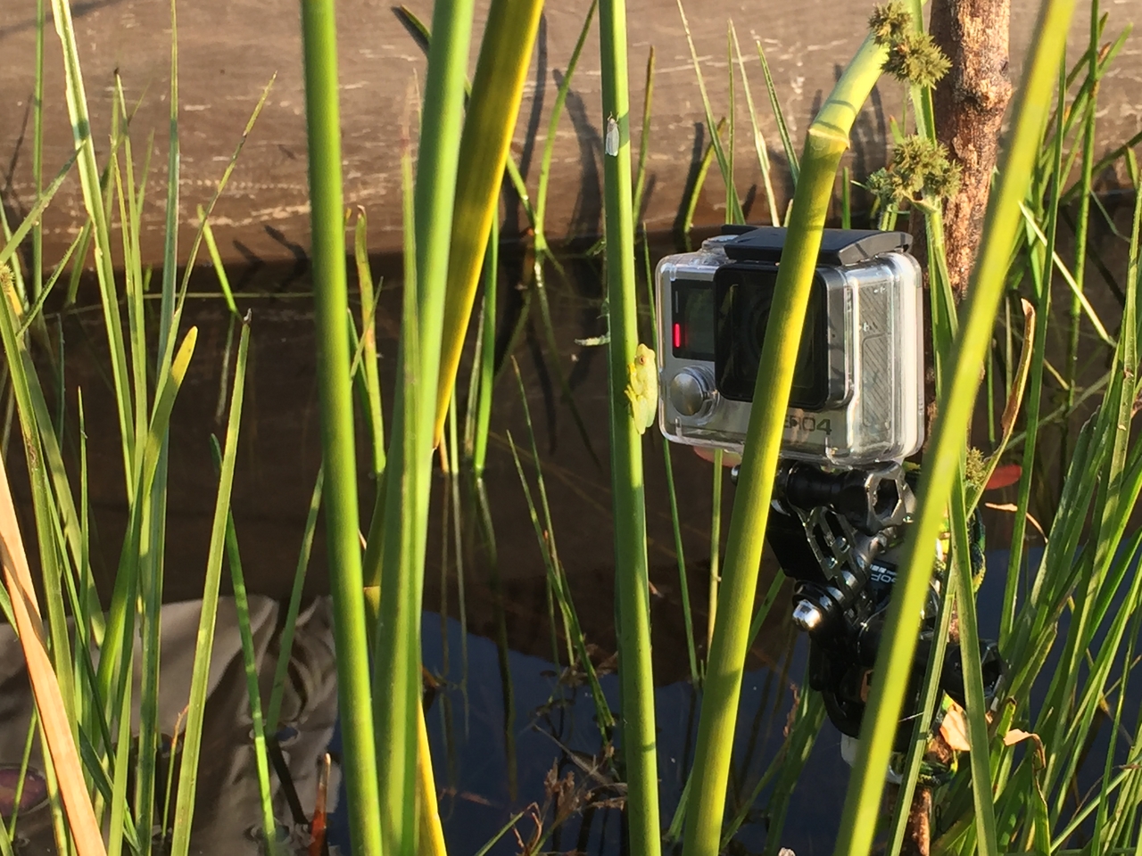 [27277] 2016_07_01_16_36_22_Africa_iPhone_6_IMG_8671_03529.jpg