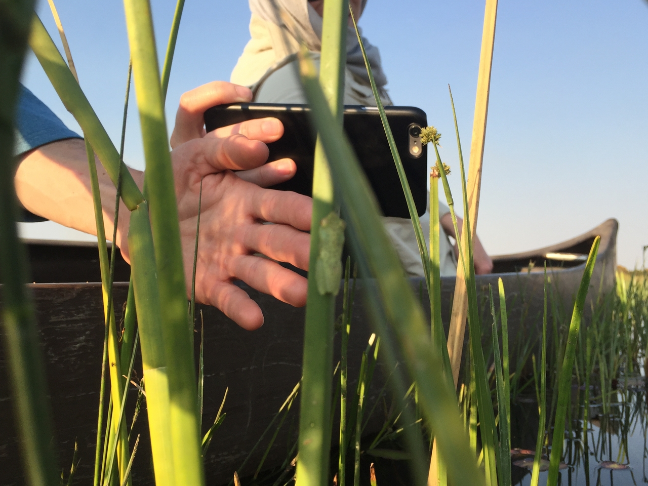 [27279] 2016_07_01_16_37_13_Africa_iPhone_6_IMG_8672_01189.jpg