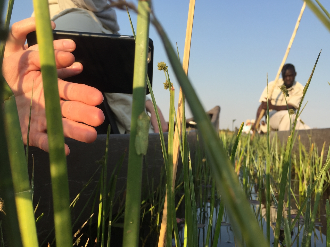 [27281] 2016_07_01_16_37_15_Africa_iPhone_6_IMG_8673_00608.jpg