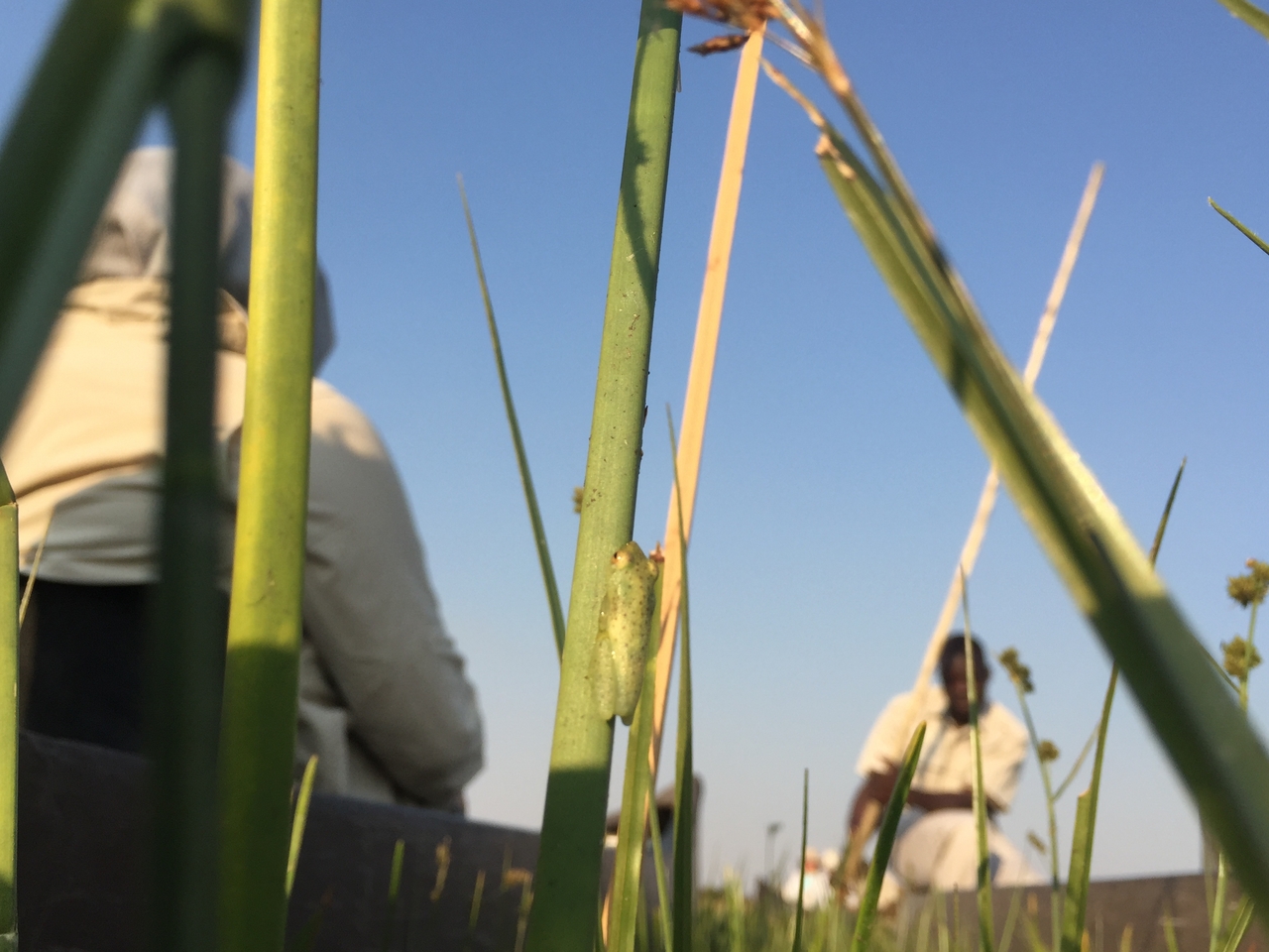 [27286] 2016_07_01_16_37_18_Africa_iPhone_6_IMG_8674_03532.jpg