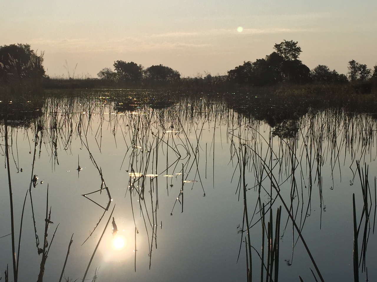 [27352] 2016_07_01_16_48_04_Africa_iPhone_6_IMG_8691_03547.jpg