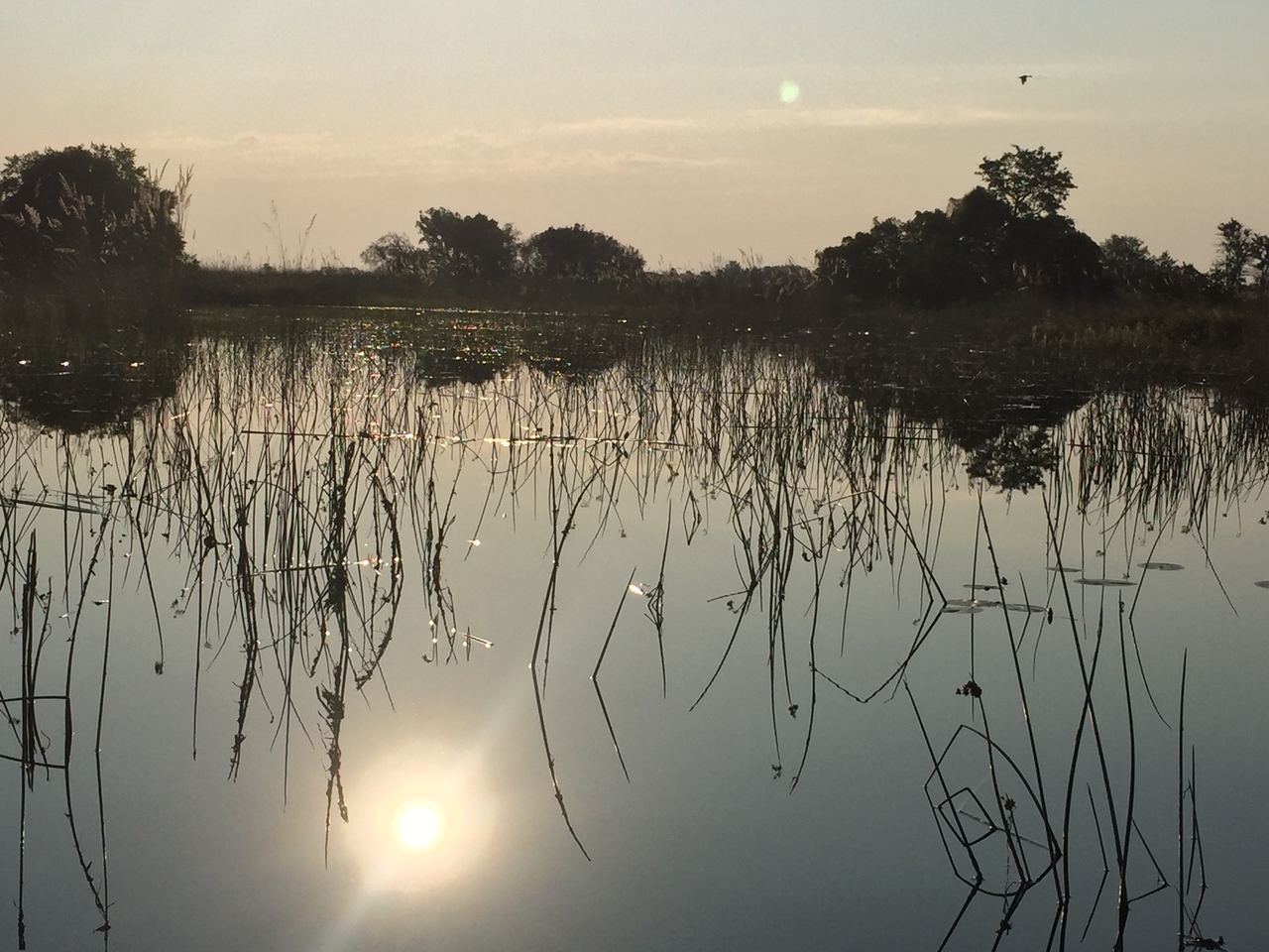 [27355] 2016_07_01_16_48_11_Africa_iPhone_6_IMG_8692_03548.jpg