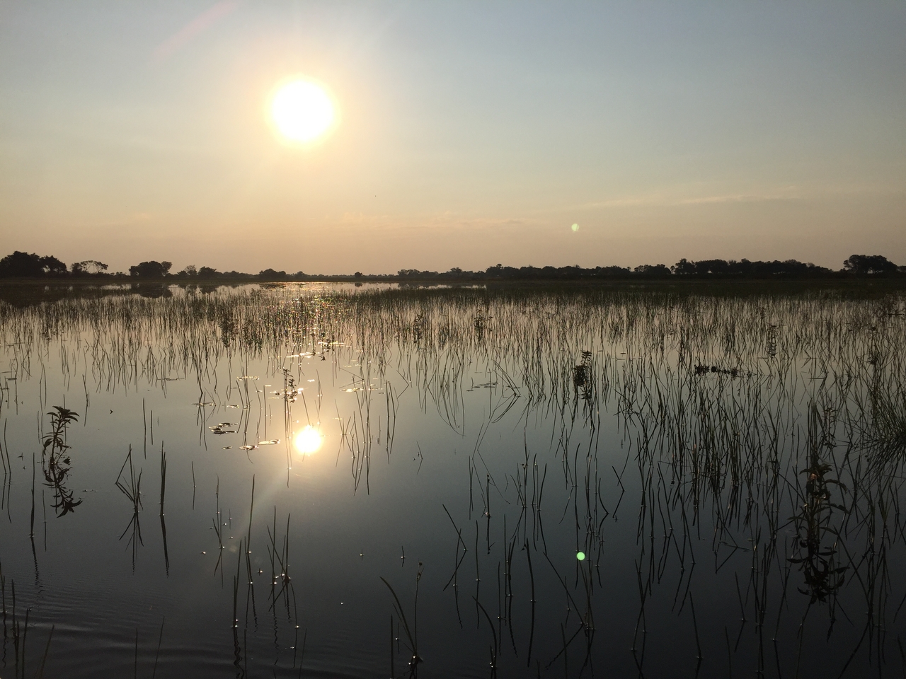 [27368] 2016_07_01_17_02_21_Africa_iPhone_6_IMG_8696_00628.jpg