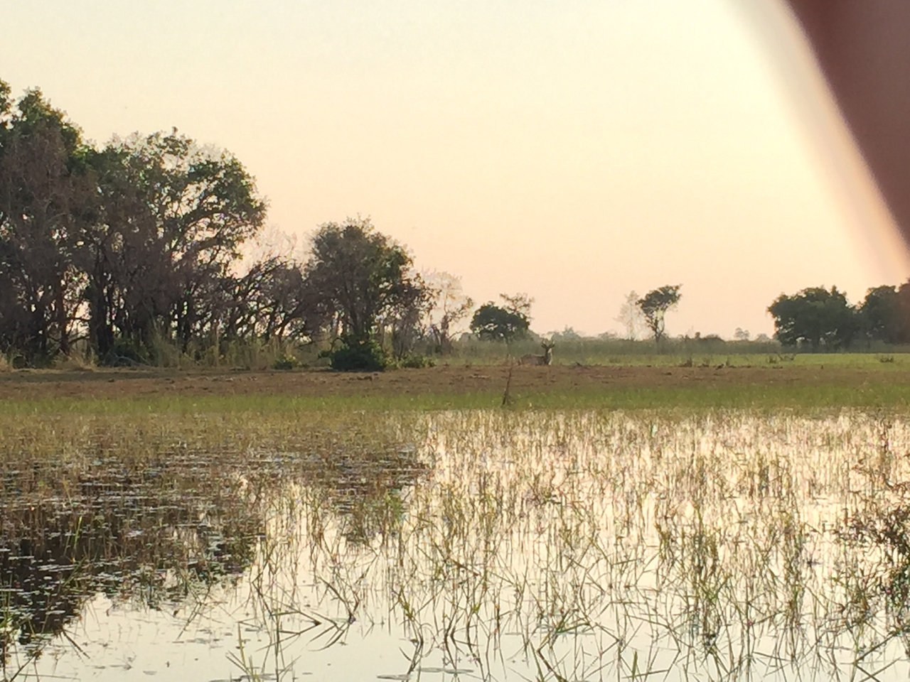 [27376] 2016_07_01_17_08_42_Africa_iPhone_6_IMG_8699_03552.jpg