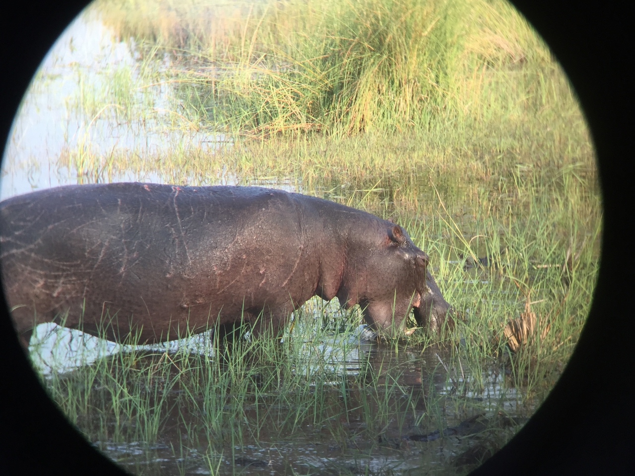 [27927] 2016_07_02_08_41_36_Africa_iPhone_6_IMG_8722_00646.jpg