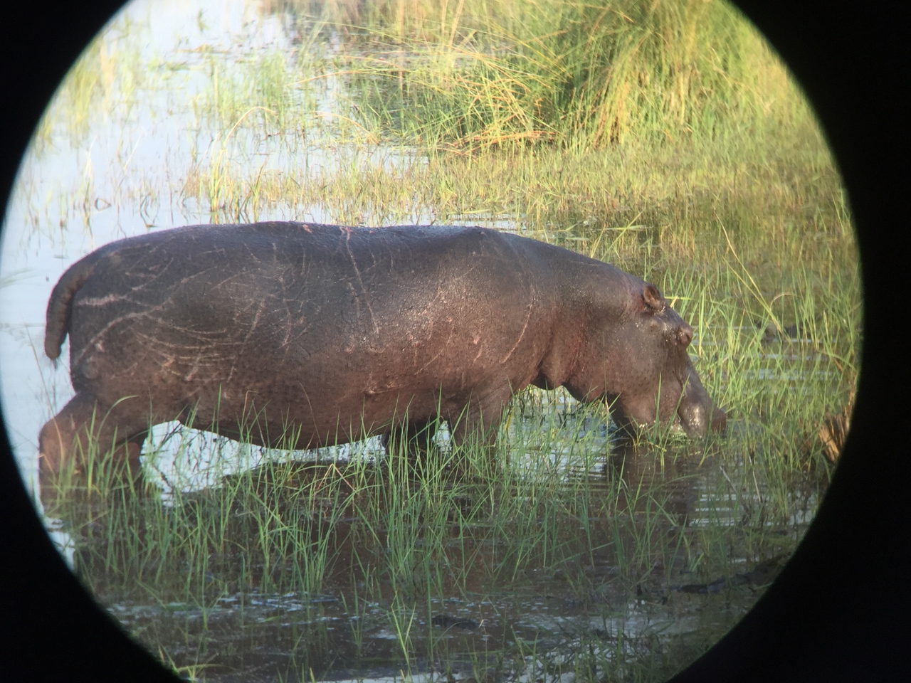 [27931] 2016_07_02_08_41_40_Africa_iPhone_6_IMG_8723_01229.jpg