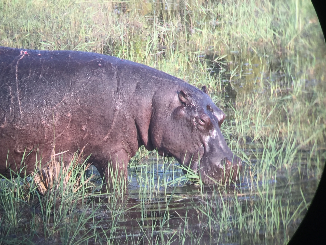 [27952] 2016_07_02_08_43_08_Africa_iPhone_6_IMG_8729_01235.jpg