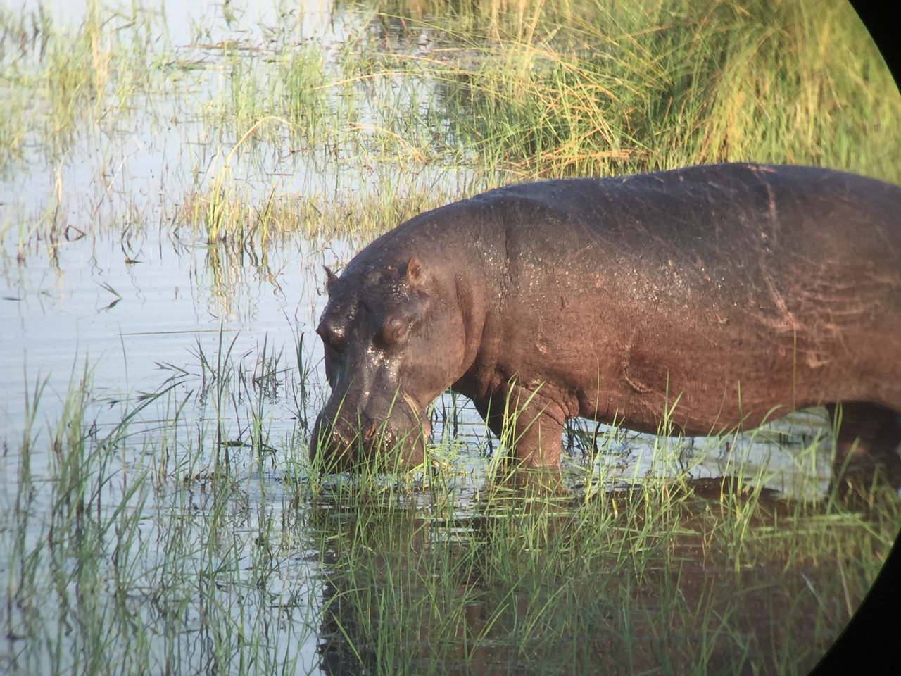 [27961] 2016_07_02_08_44_53_Africa_iPhone_6_IMG_8732_01238.jpg