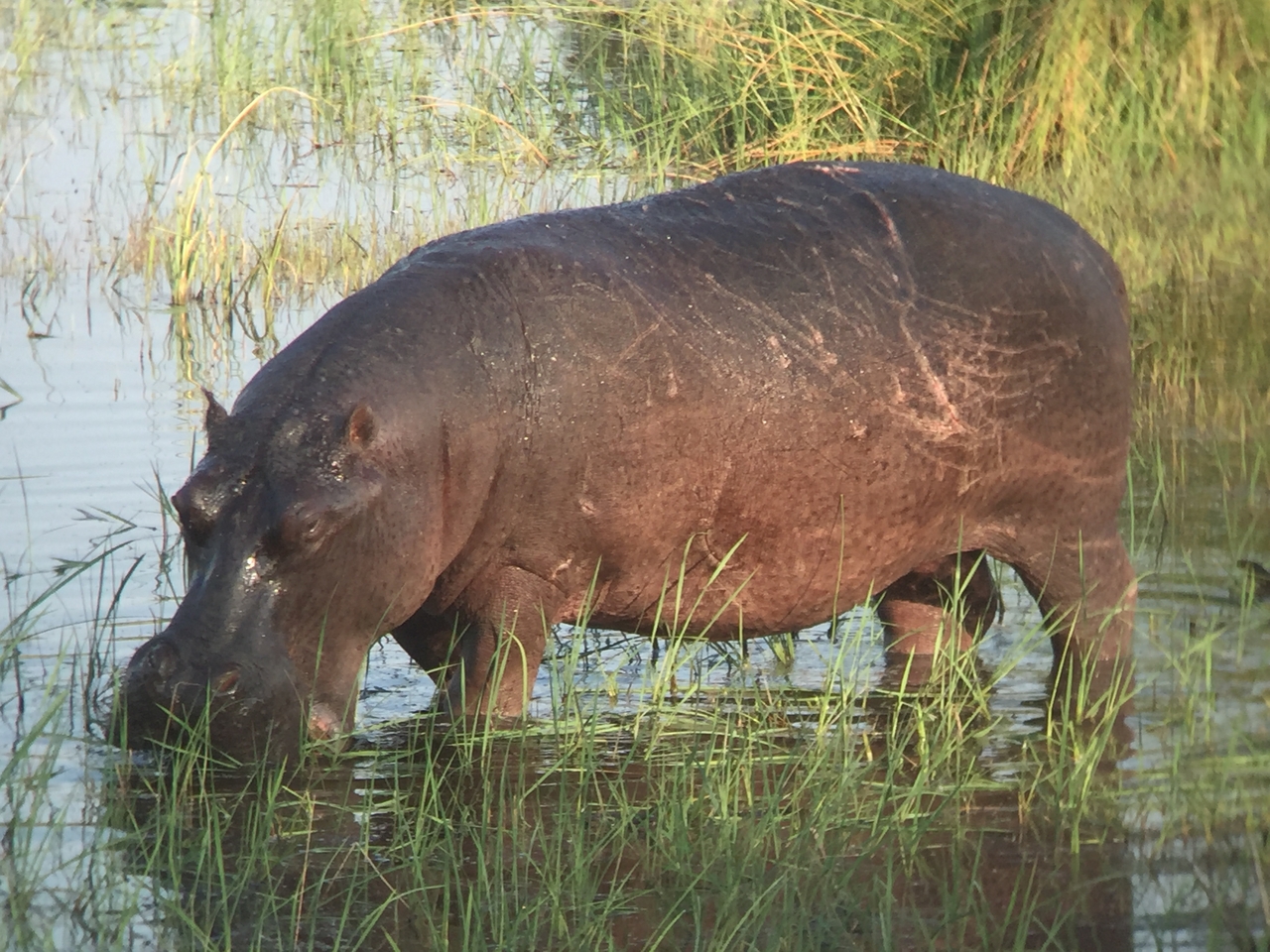 [27979] 2016_07_02_08_45_09_Africa_iPhone_6_IMG_8738_01244.jpg