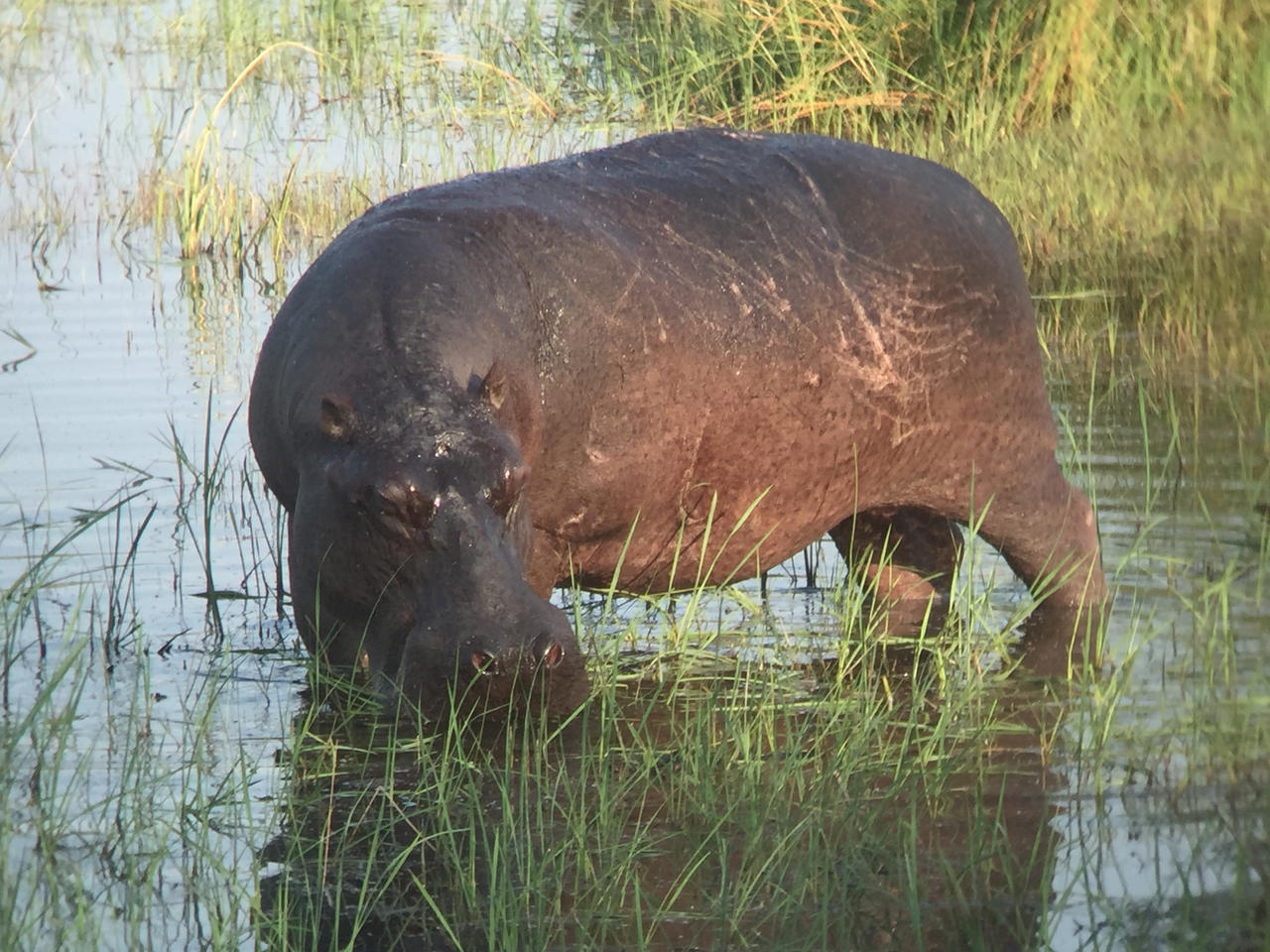 [27981] 2016_07_02_08_45_13_Africa_iPhone_6_IMG_8739_00663.jpg