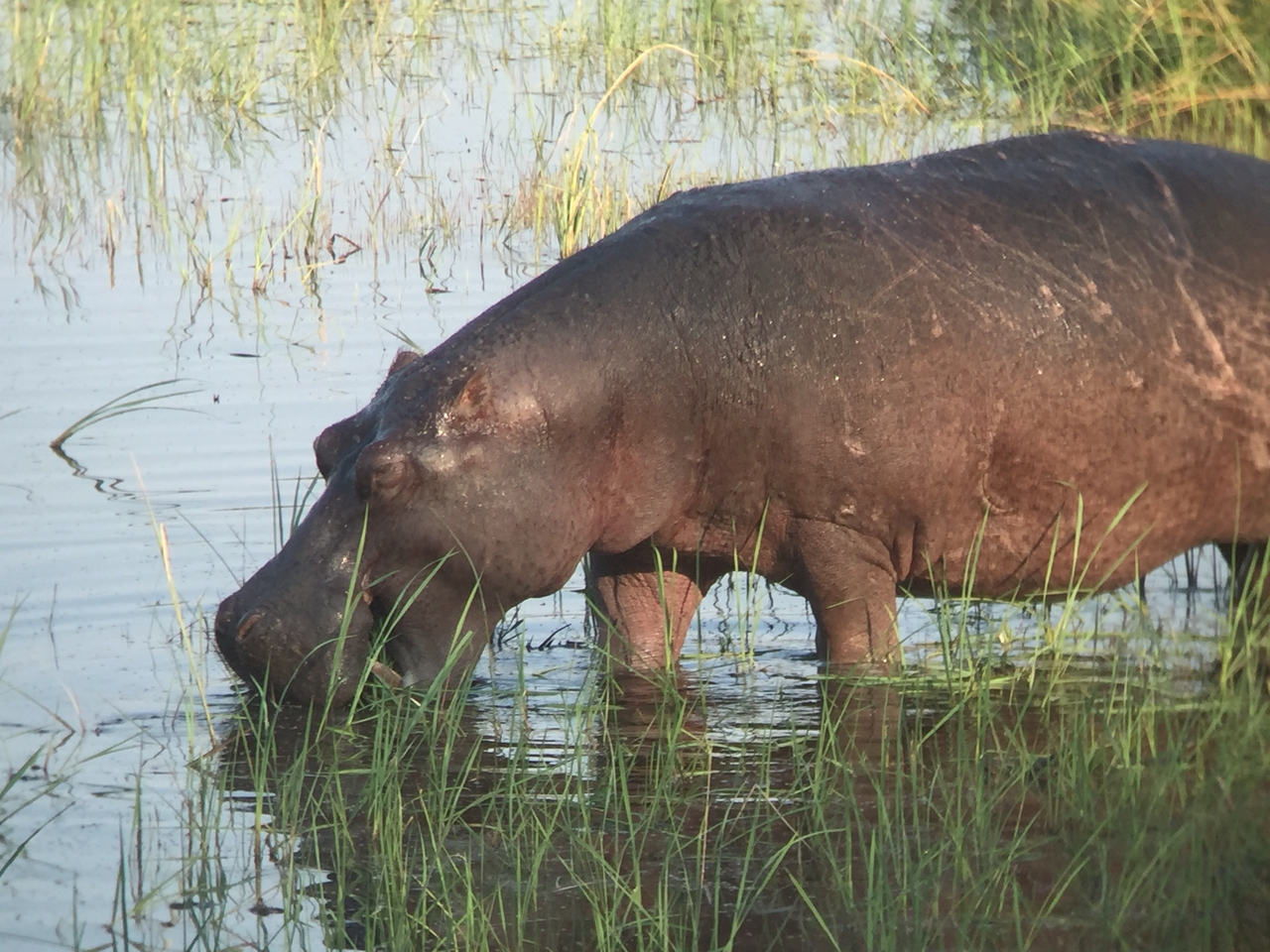 [27987] 2016_07_02_08_45_15_Africa_iPhone_6_IMG_8741_00665.jpg