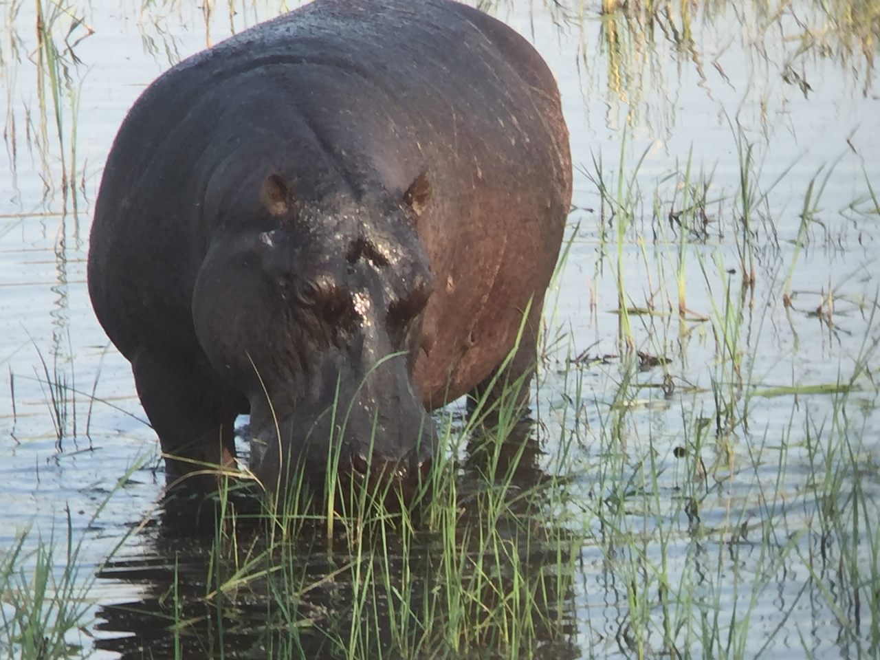 [28007] 2016_07_02_08_45_37_Africa_iPhone_6_IMG_8747_03594.jpg