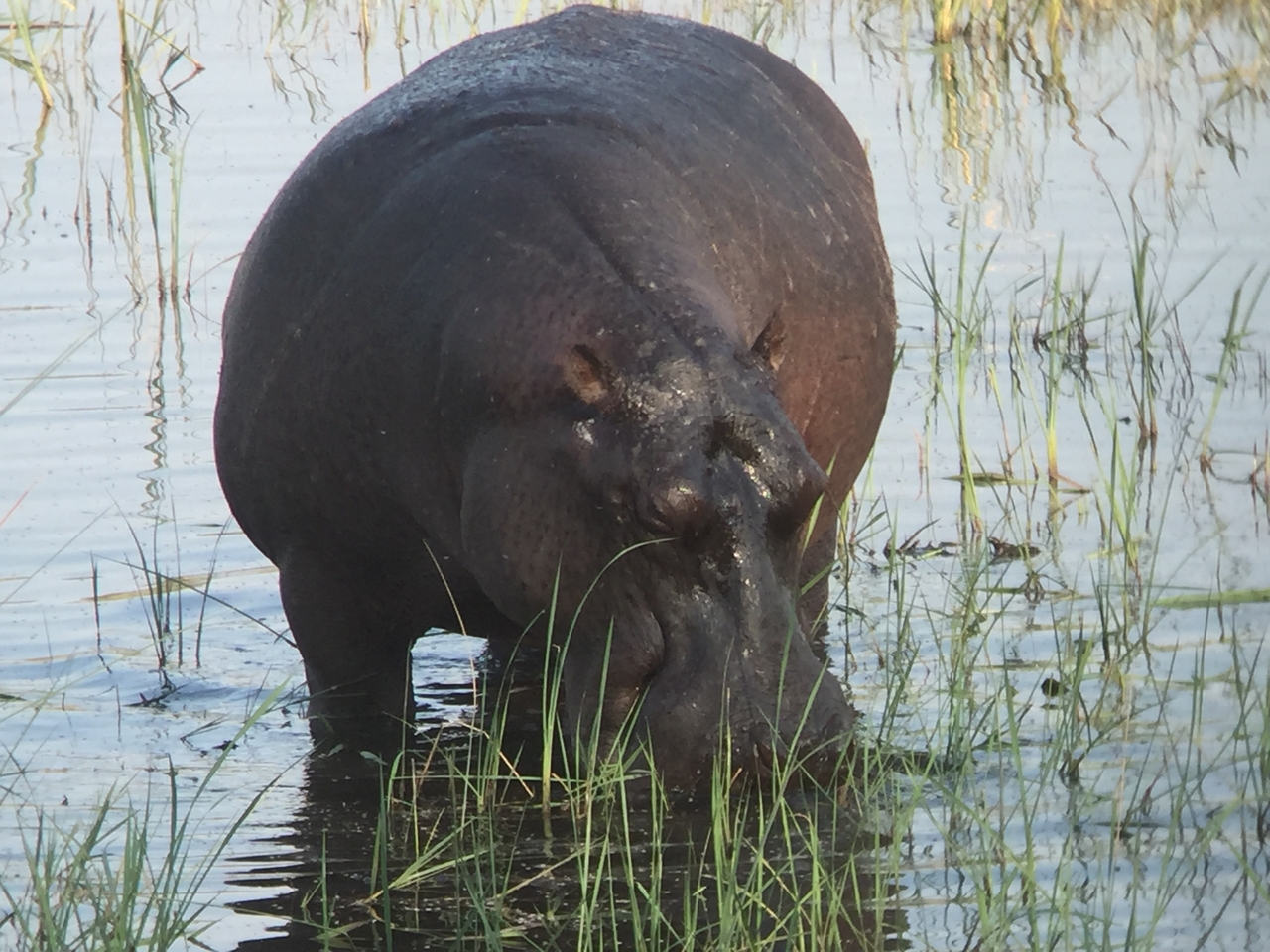 [28010] 2016_07_02_08_45_38_Africa_iPhone_6_IMG_8748_03595.jpg