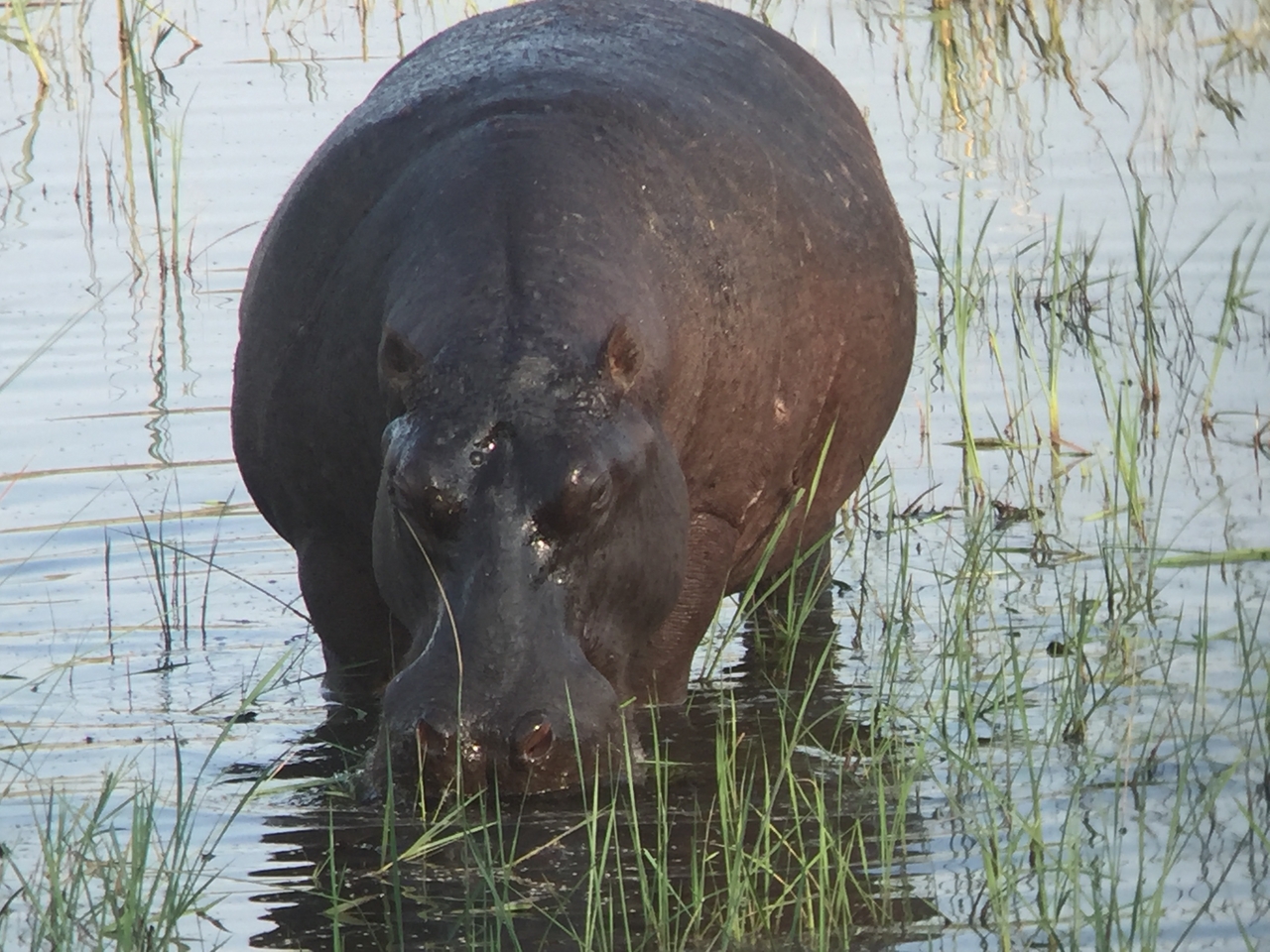 [28011] 2016_07_02_08_45_40_Africa_iPhone_6_IMG_8749_00673.jpg