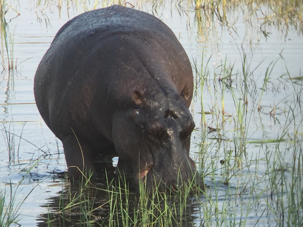 [28020] 2016_07_02_08_45_44_Africa_iPhone_6_IMG_8752_00676.jpg