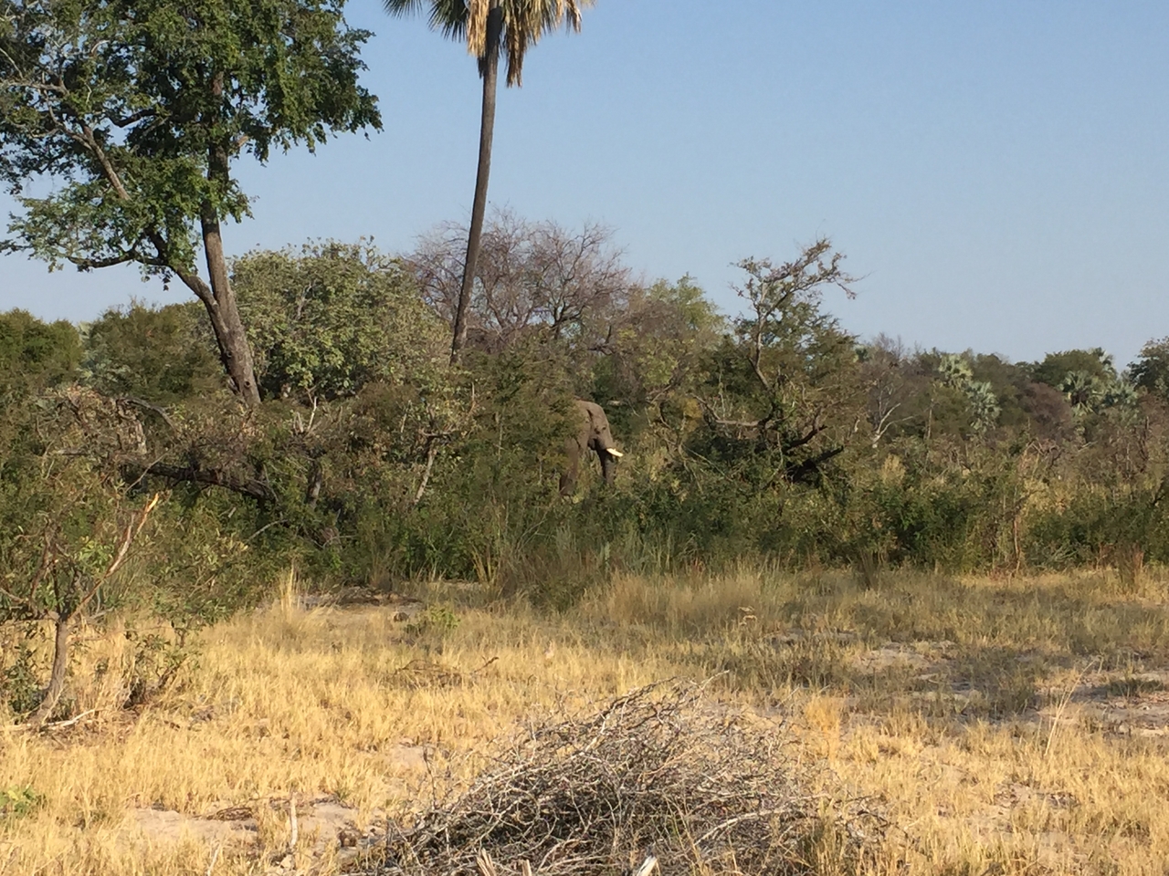 [28030] 2016_07_02_09_17_25_Africa_iPhone_6_IMG_8754_01260.jpg