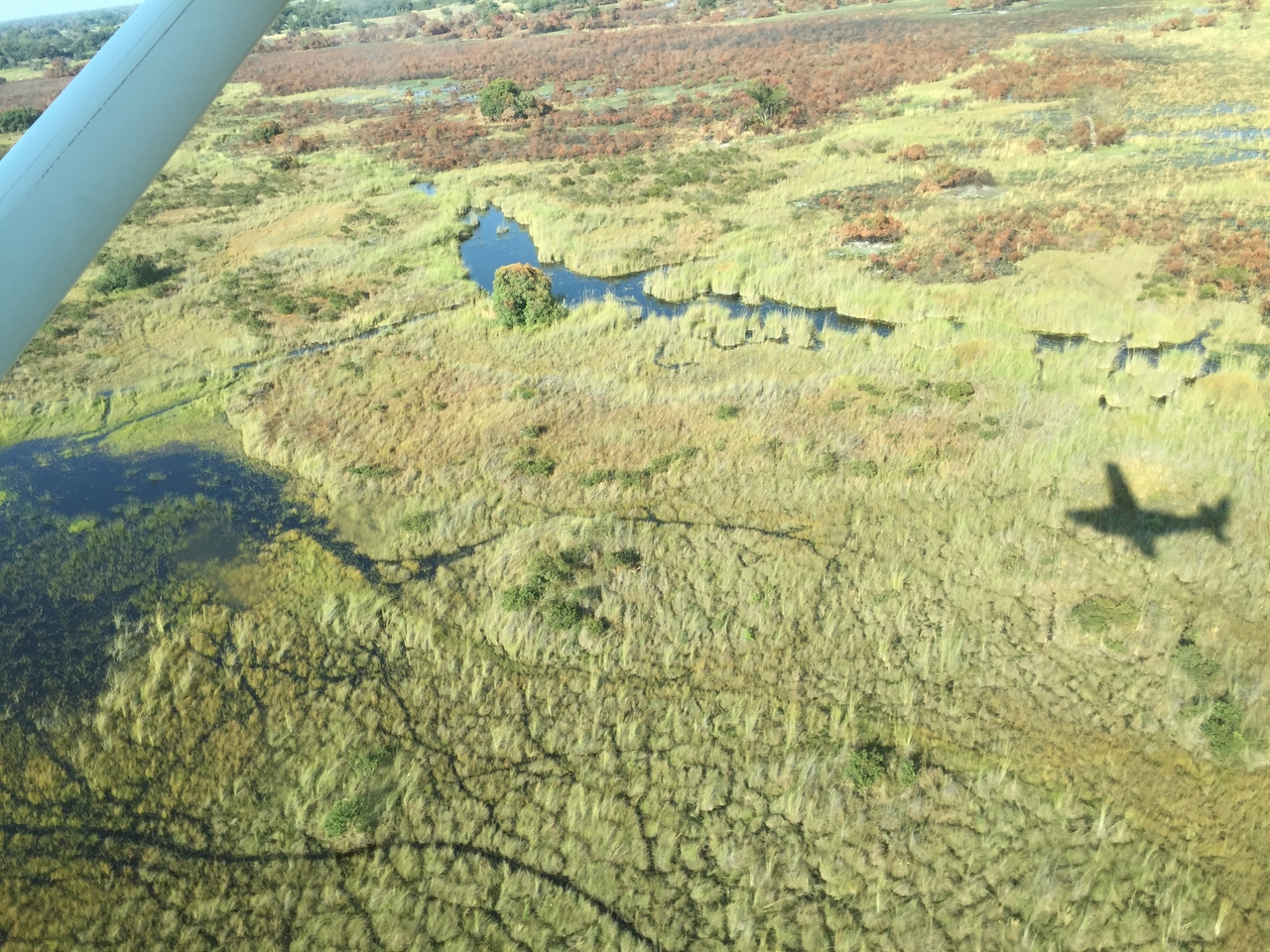 [28073] 2016_07_02_09_25_05_Africa_iPhone_6_IMG_8755_03602.jpg