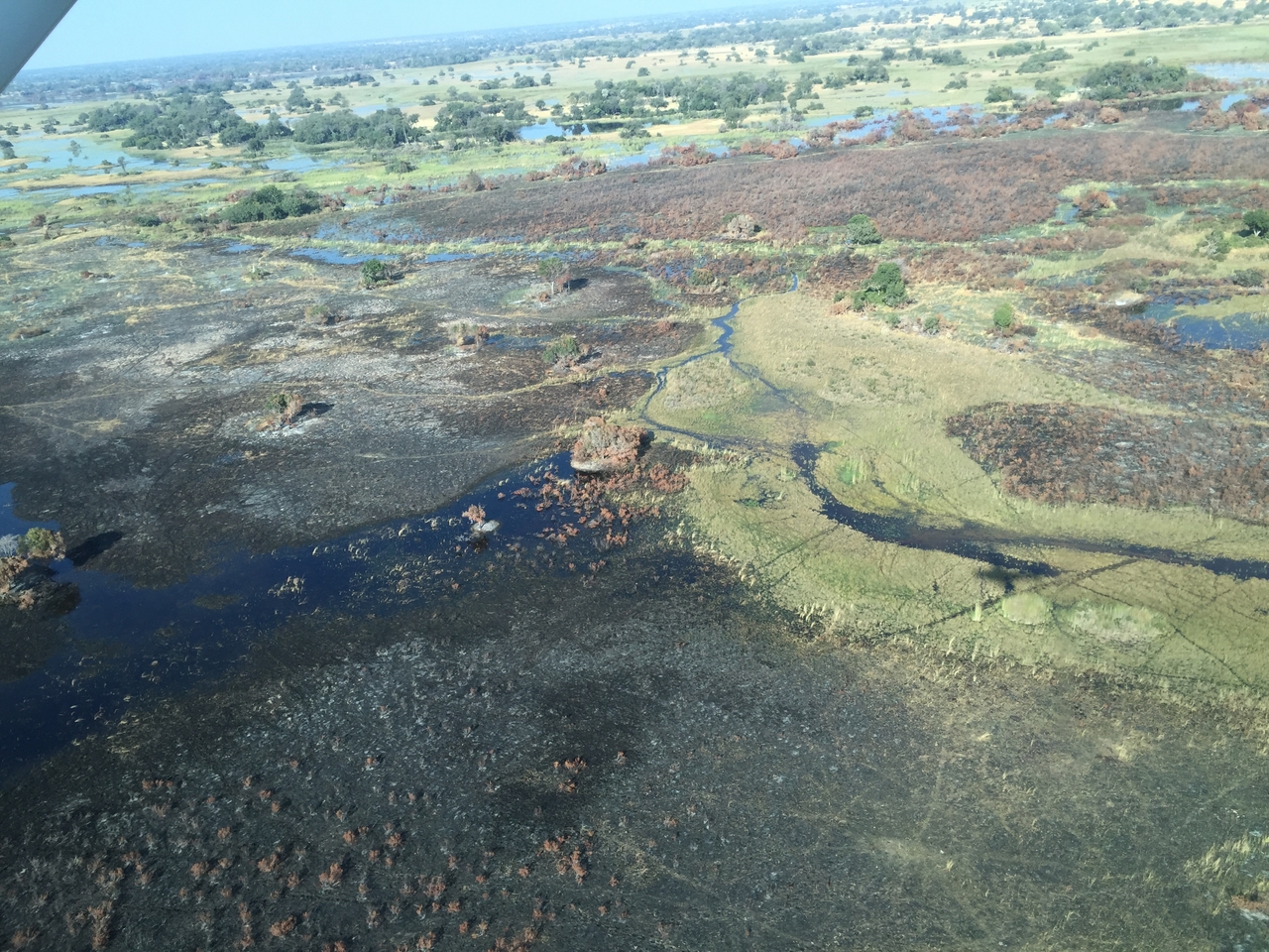 [28079] 2016_07_02_09_25_17_Africa_iPhone_6_IMG_8757_03604.jpg