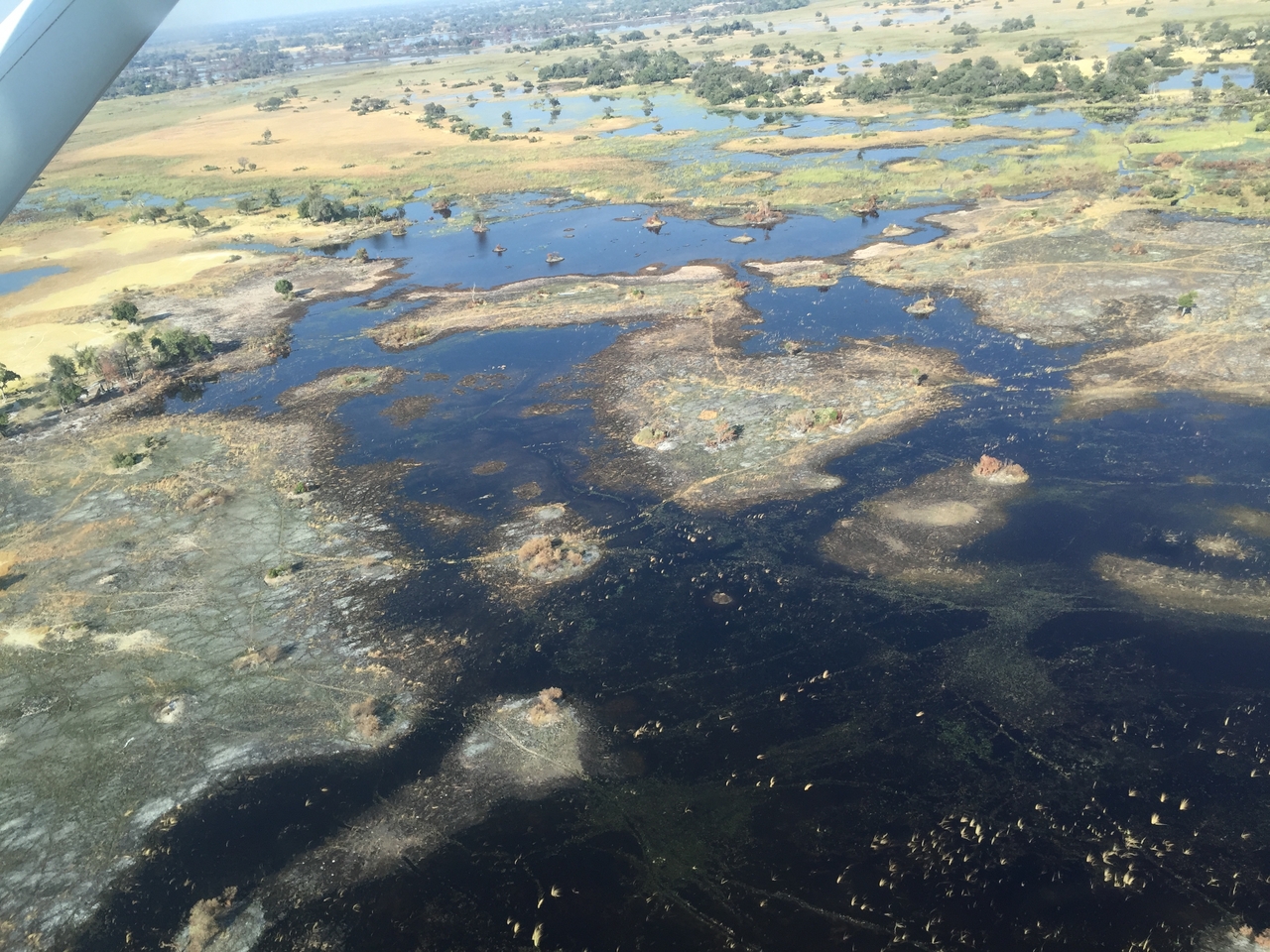 [28082] 2016_07_02_09_25_28_Africa_iPhone_6_IMG_8758_03605.jpg