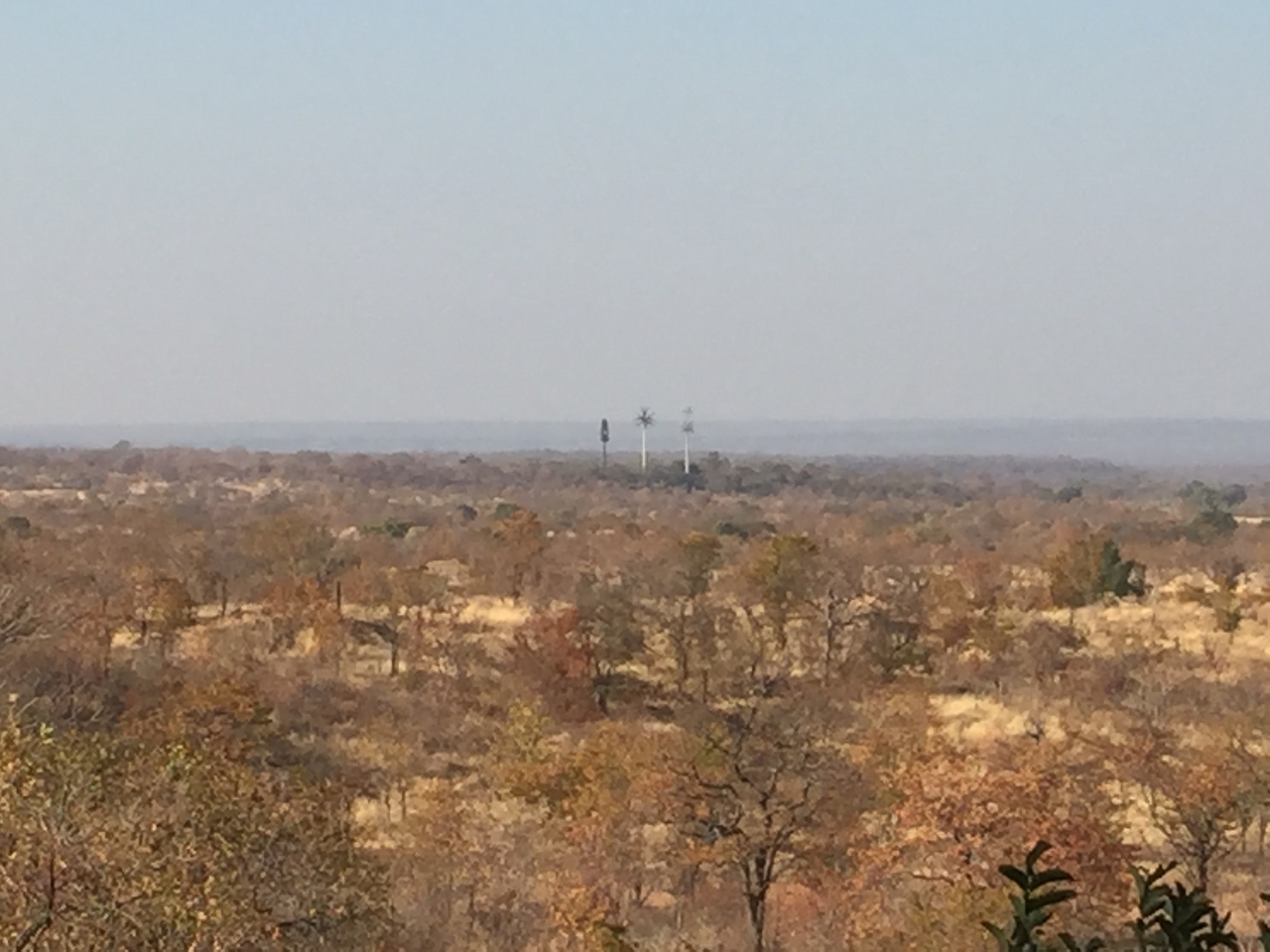 [31241] 2016_07_03_08_19_59_Africa_iPhone_6_IMG_8788_03627.jpg