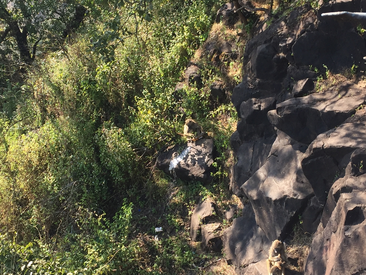 [31919] 2016_07_03_09_51_29_Africa_iPhone_6_IMG_8855_03688.jpg