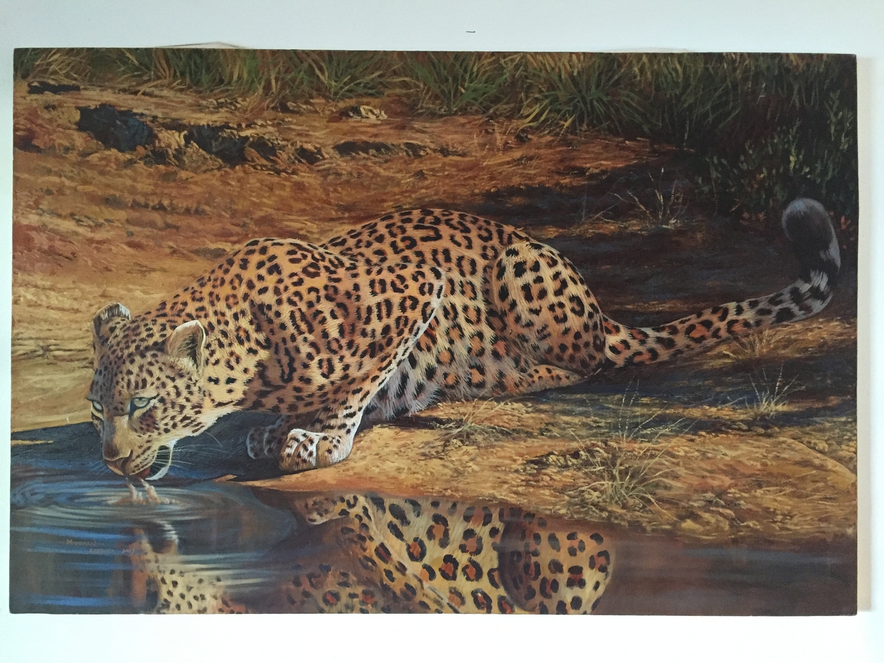 [32691] 2016_07_03_16_52_12_Africa_iPhone_6_IMG_8941_00831.jpg