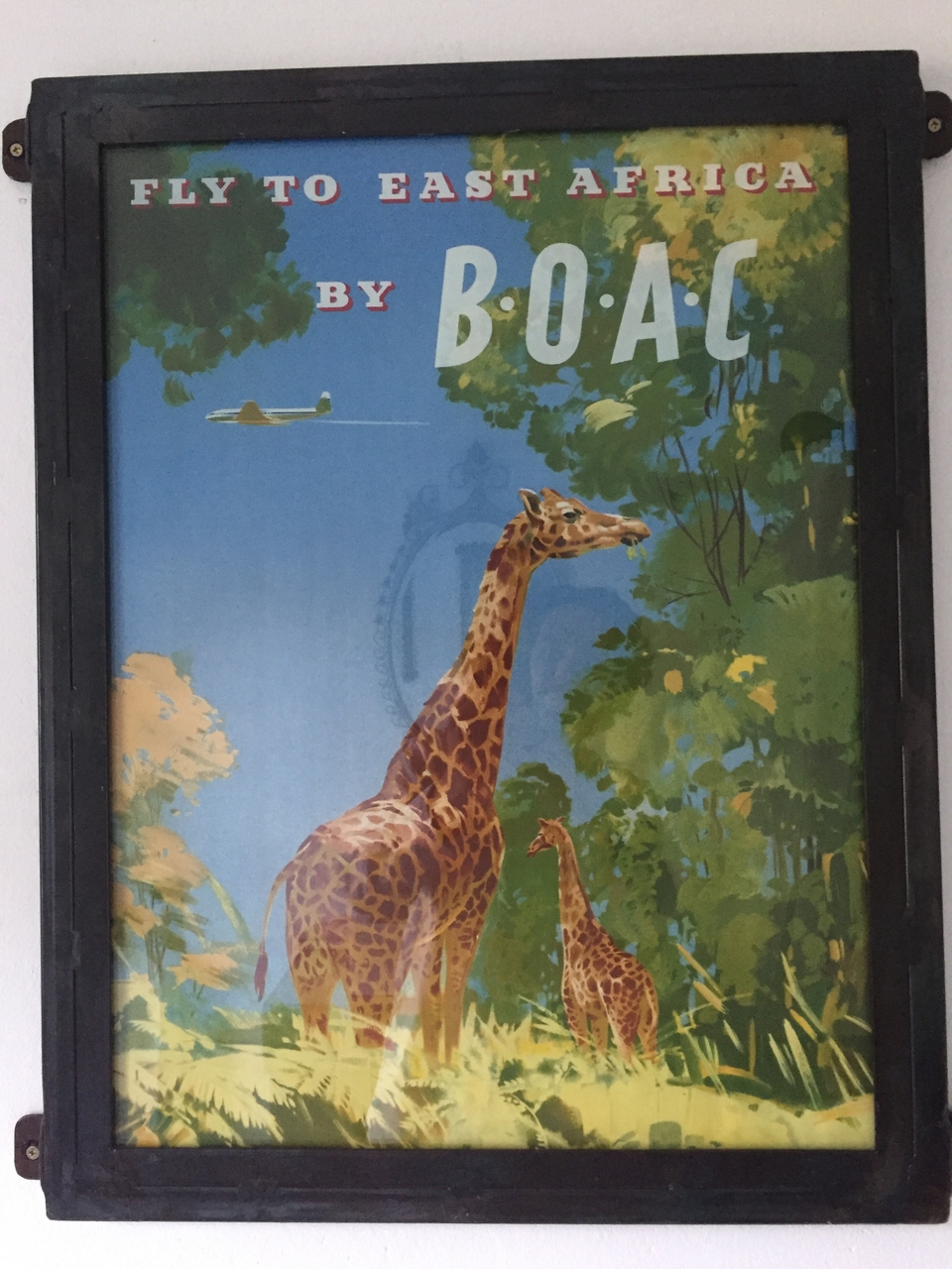 [32713] 2016_07_03_17_04_51_Africa_iPhone_6_IMG_8946_01418.jpg