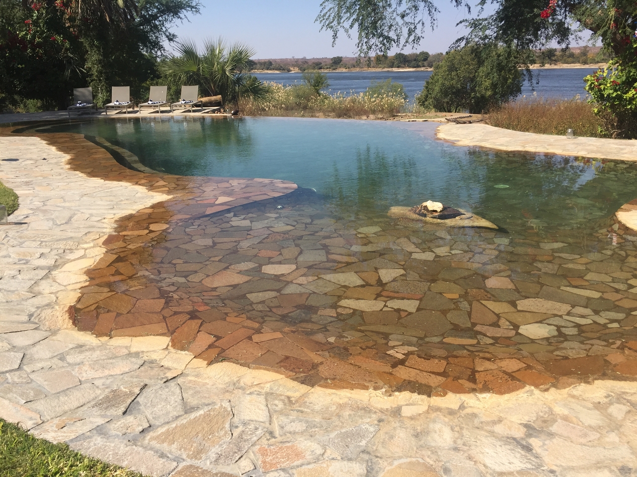 [34204] 2016_07_04_11_46_47_Africa_iPhone_6_IMG_8976_01443.jpg