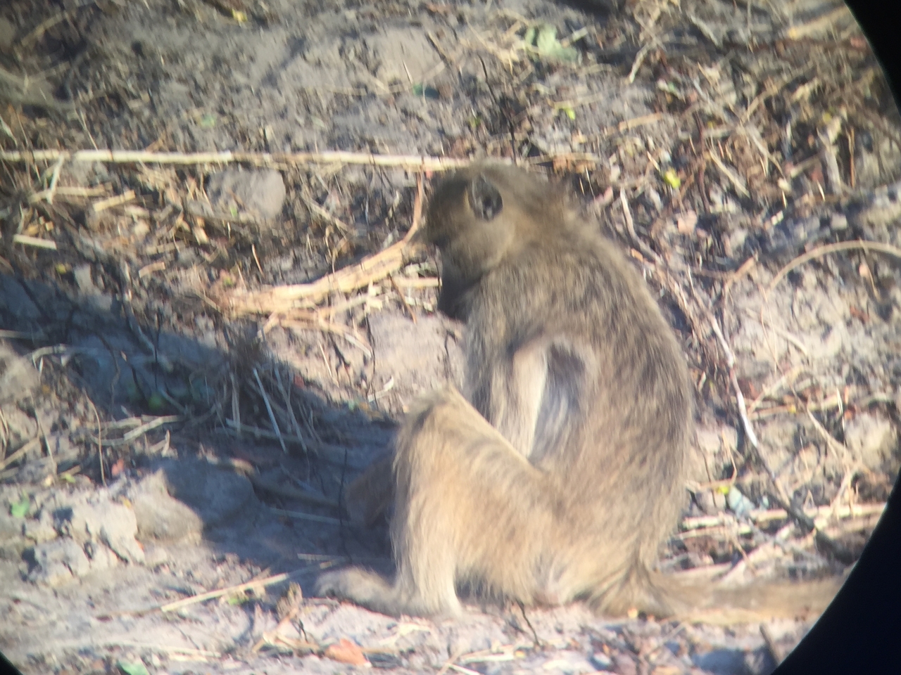 [34333] 2016_07_04_17_25_44_Africa_iPhone_6_IMG_9014_01459.jpg