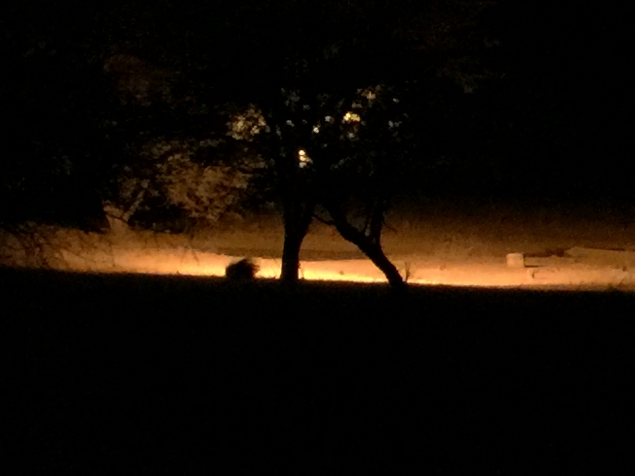 [408] 2016_06_21_20_46_14_Africa_iPhone_6_Plus_IMG_3400_06675.jpg