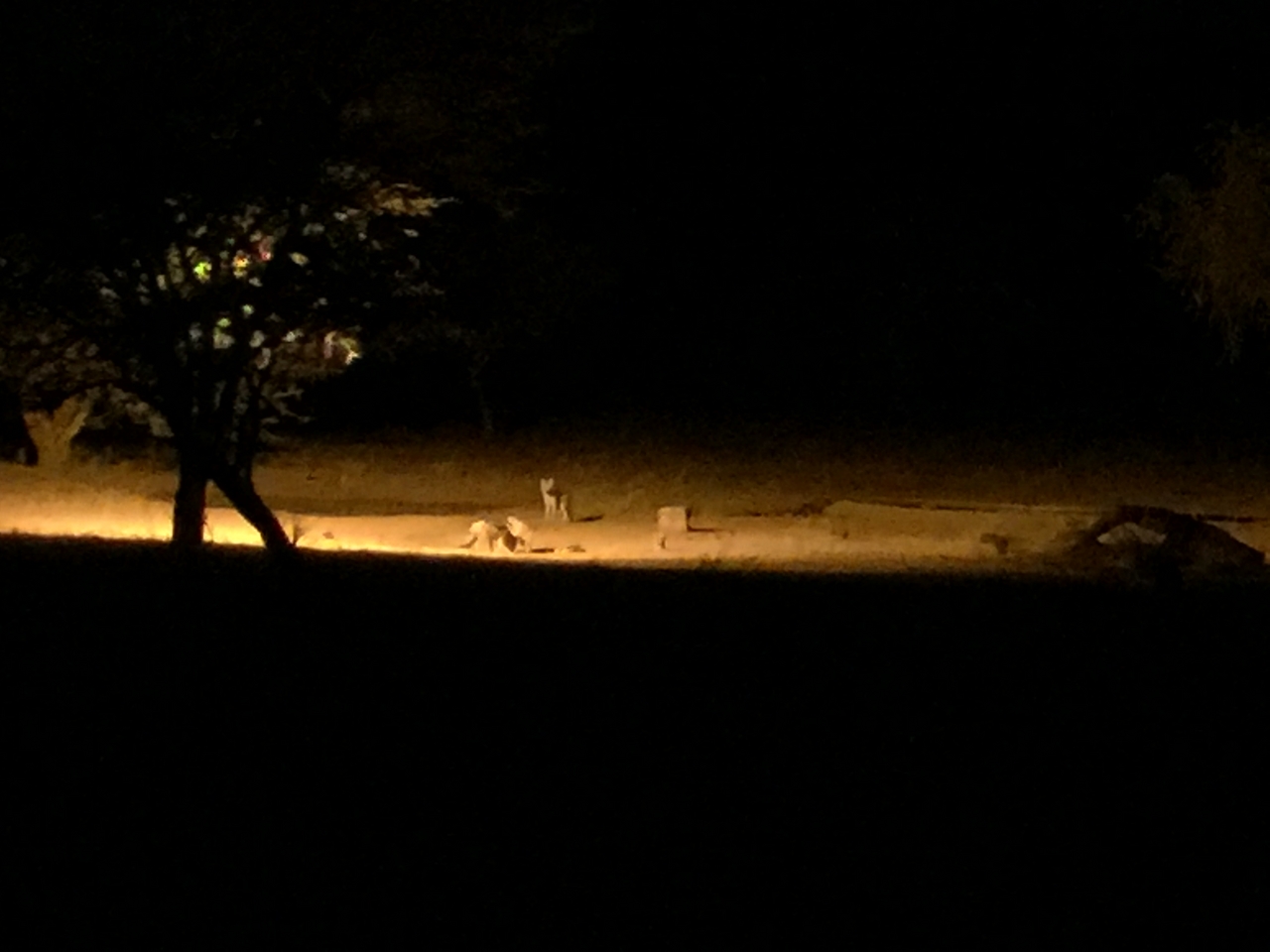 [430] 2016_06_21_21_11_31_Africa_iPhone_6_Plus_IMG_3405_06680.jpg