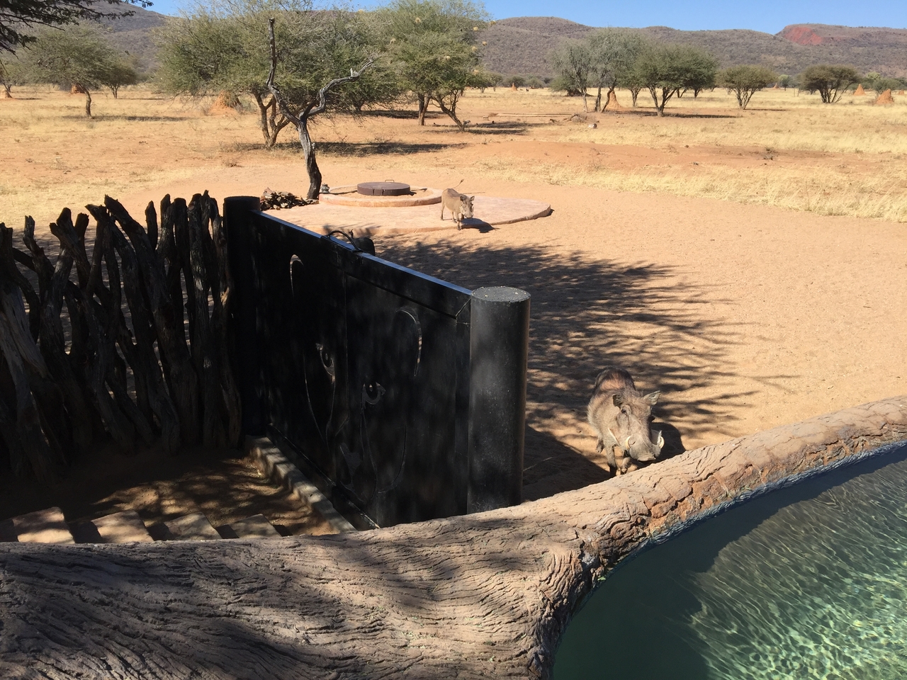 [2554] 2016_06_22_10_53_51_Africa_iPhone_6_Plus_IMG_3419_00109.jpg